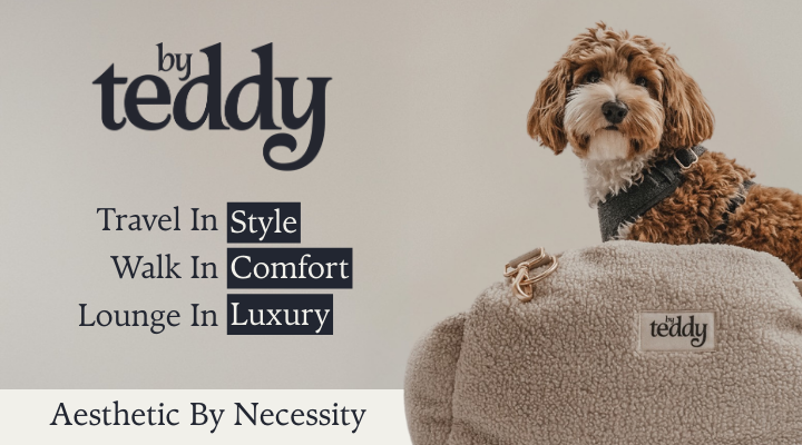 By Teddy Banner 1 - 720x400.png